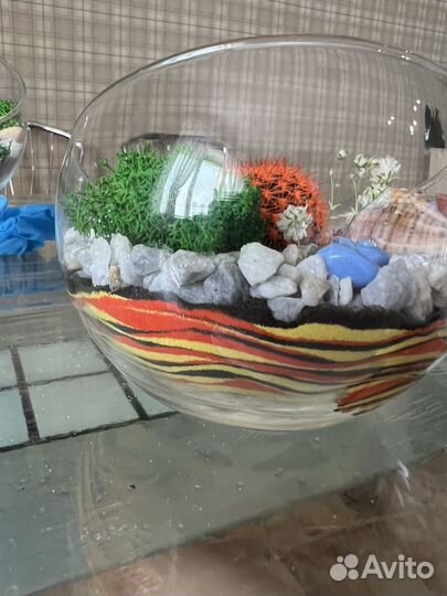 Флорариум на заказ