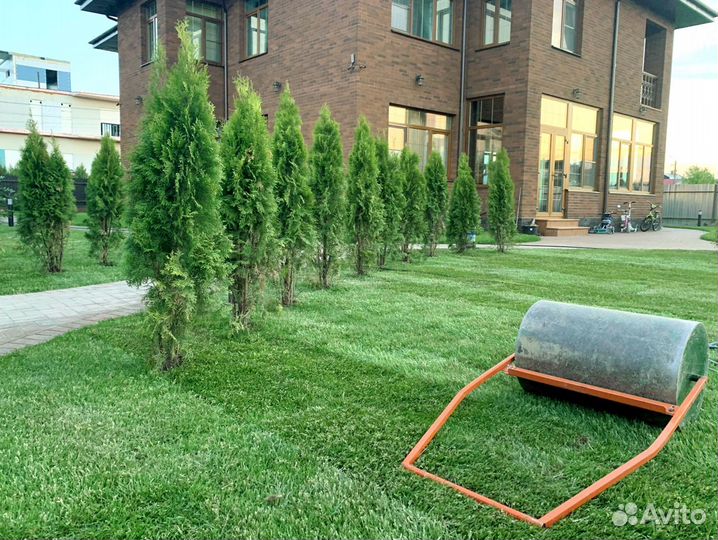 Рулонный газон от производителя
