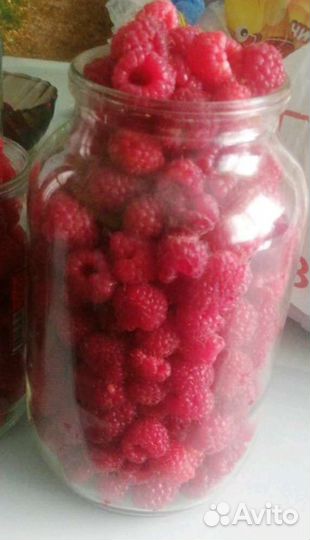 Малина свежая