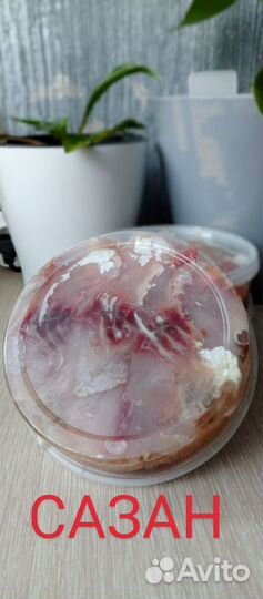 Рыба холодного копчения