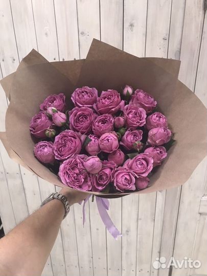 Тюльпаны 25 51 101 Тюльпан