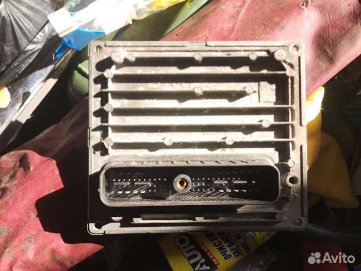 Блок эбу ford focus 2 1.6 115 механика