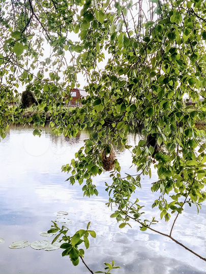 Участок 9 сот. (СНТ, ДНП)