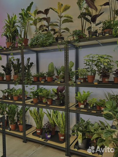 Озеленение / уход