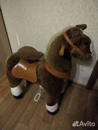 Лошадка поницикл