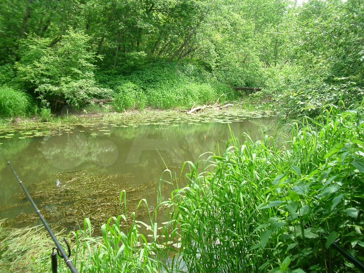 Участок 16 сот. (СНТ, ДНП)