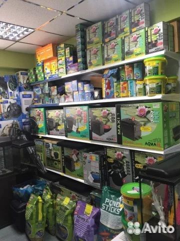 Аквариумы в Белой Акуле