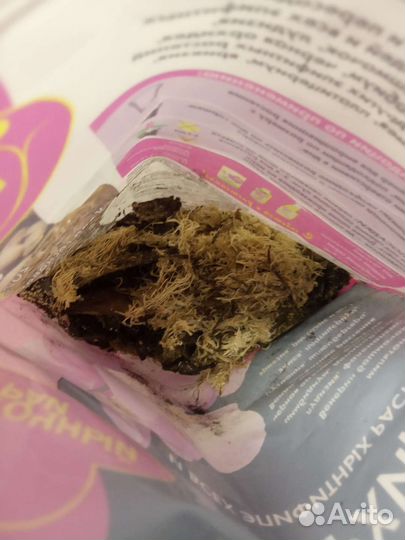 Инвентарь для цветов