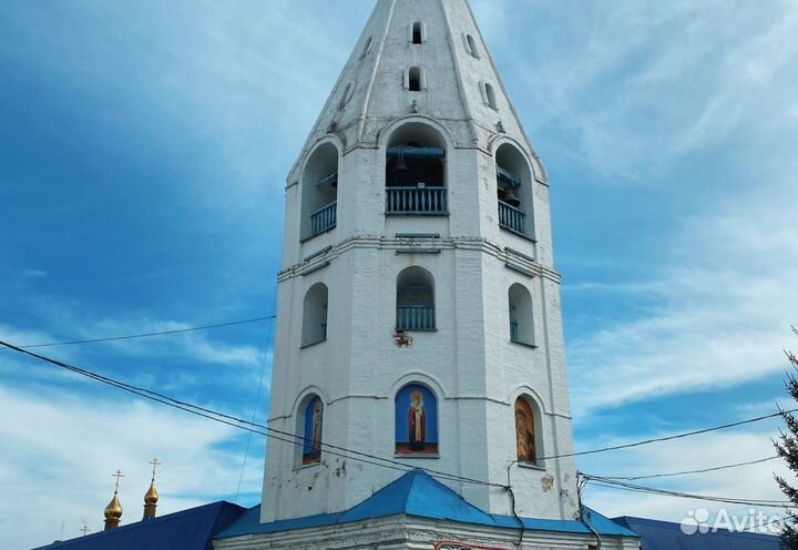 20сен24.Путешествие со вкусом(3М) /цо3066