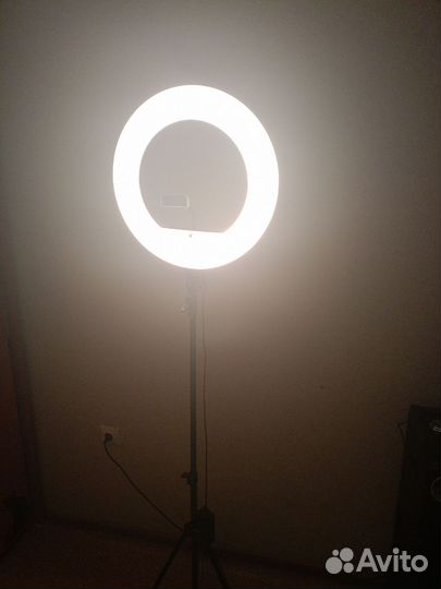 Кольцевая лампа