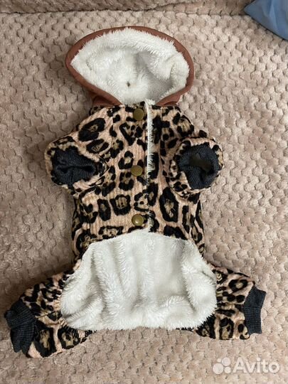 Одежда для маленьких собак