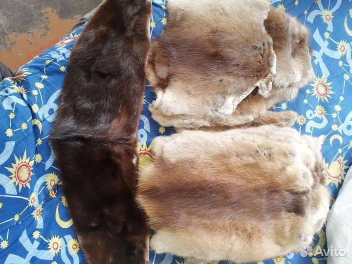 Шкурка ондатры