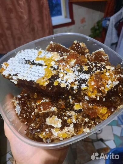 Мёд алтайский настоящий, в сотах и в банках