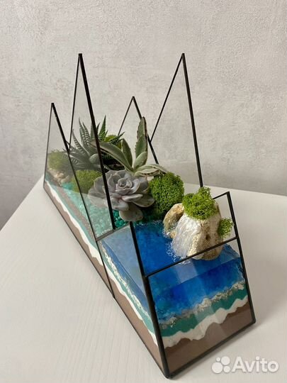 Флорариум Горы с суккулентами
