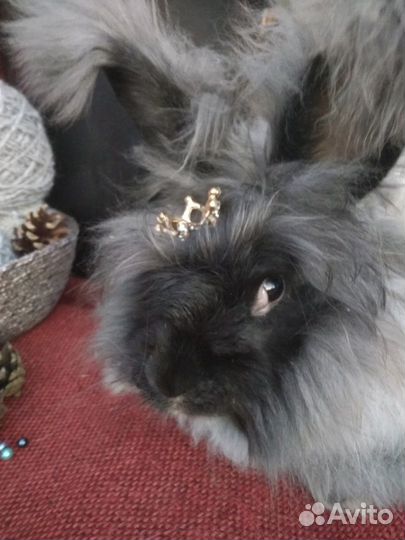 Варежки пушистые из пуха кролика