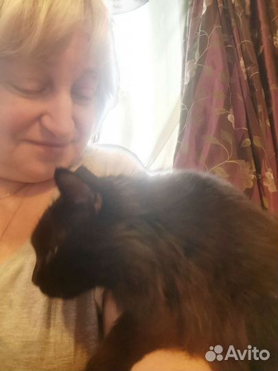 Передержка собак в домашних условиях