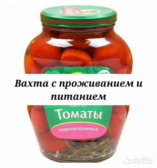 Упаковщица консервированной продукции с проживание