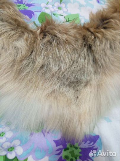 Меховой воротник лиса чернобурка