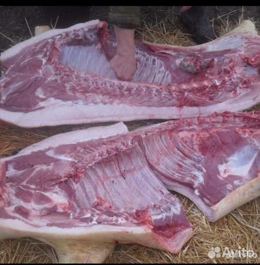 Мясо свинина домашняя