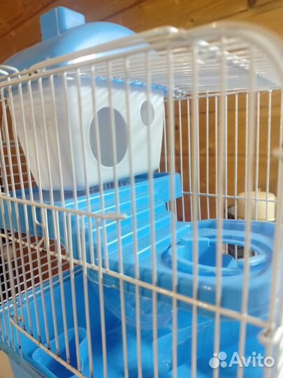 Клетка для джунгарского хомяка бу