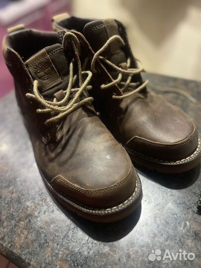 Ботинки Timberland Larchmont Chukka