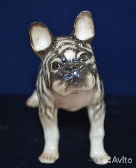Фарфоровая статуэтка- французский бульдог.ифз