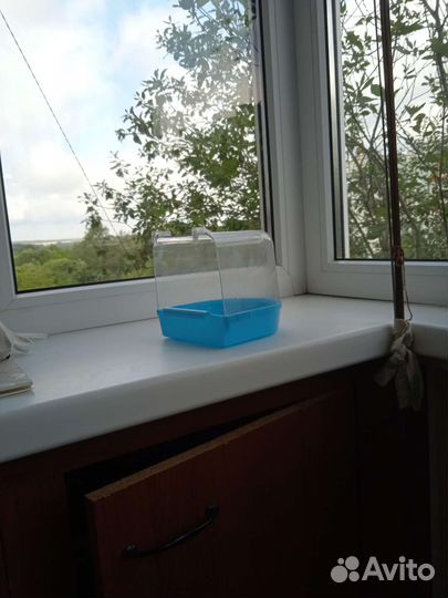 Купалки для птиц