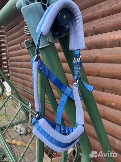 Недоуздок для лошади