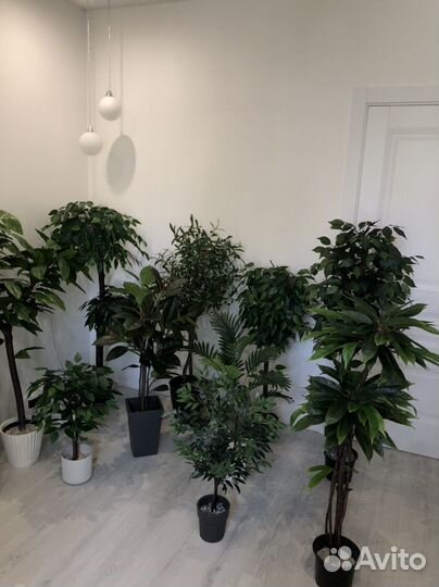 Искусственные растения для декора