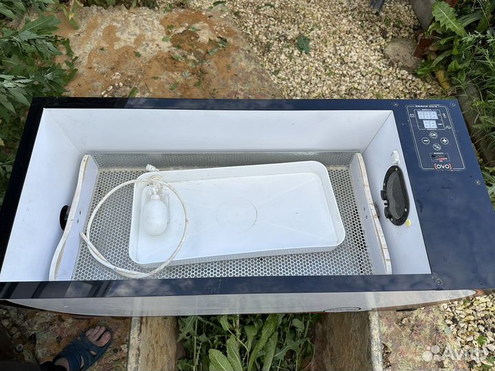 Перепелиная ферма