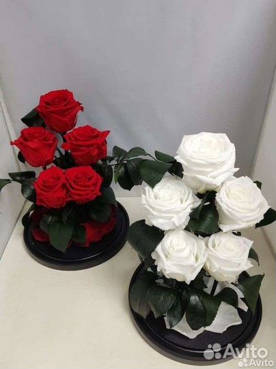 Подарок маме / Роза в колбе оптом