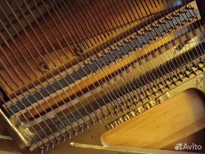 Сюита Ноктюрн настроенное