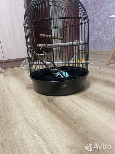 Клетка для птиц круглая
