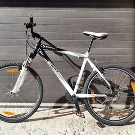 scott aspect
