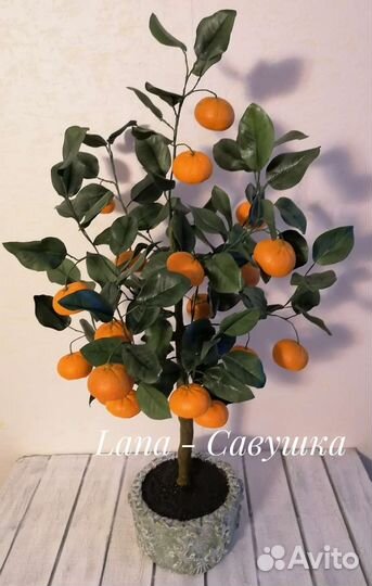 Мандариновое дерево с плодами