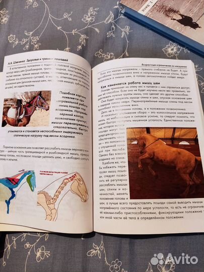 Книги про лошадей