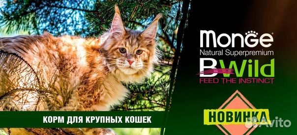 Корм для кошек и собак Monge