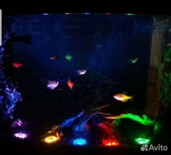 Подсветка в аквариум