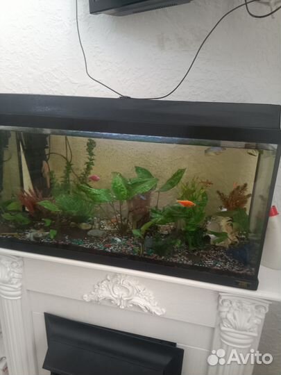Аквариум