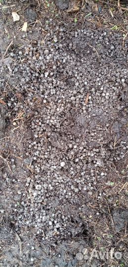 Разбрасыватель удобрений