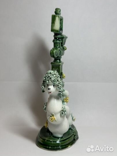 Пудель Дон Жуан