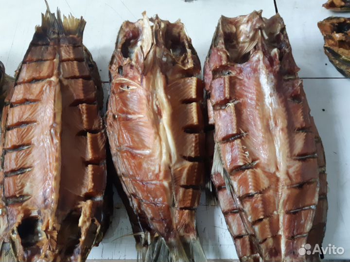 Рыба балыки холодного копчения