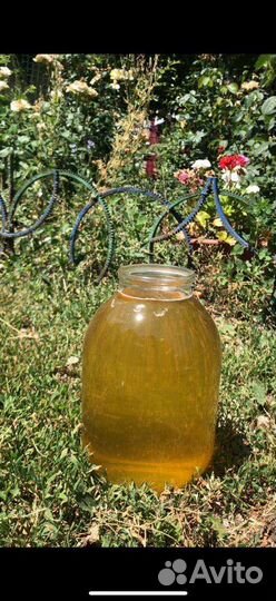 Мед майский акация