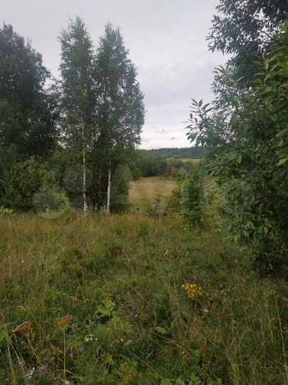 Участок 30 сот. (ИЖС)