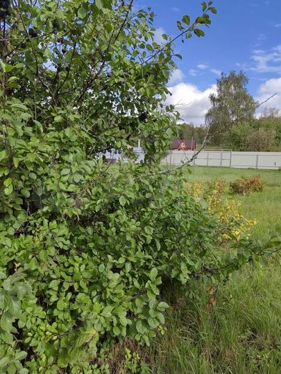 Участок 9,4 сот. (СНТ, ДНП)