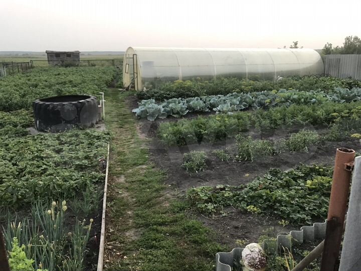 Участок 8 сот. (ИЖС)