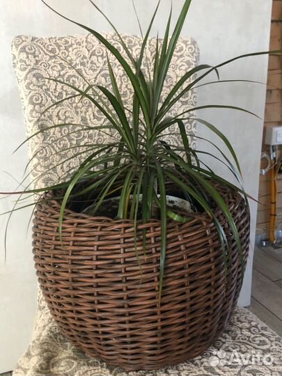 Кашпо из искусственного ротанга