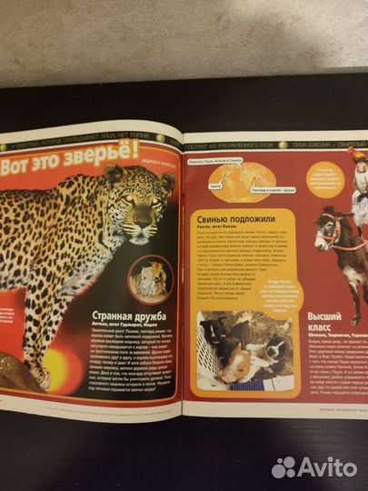 National geographic юный путешественник 2004