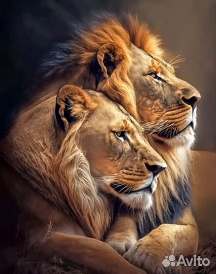 Алмазная мозаика на подрамнике