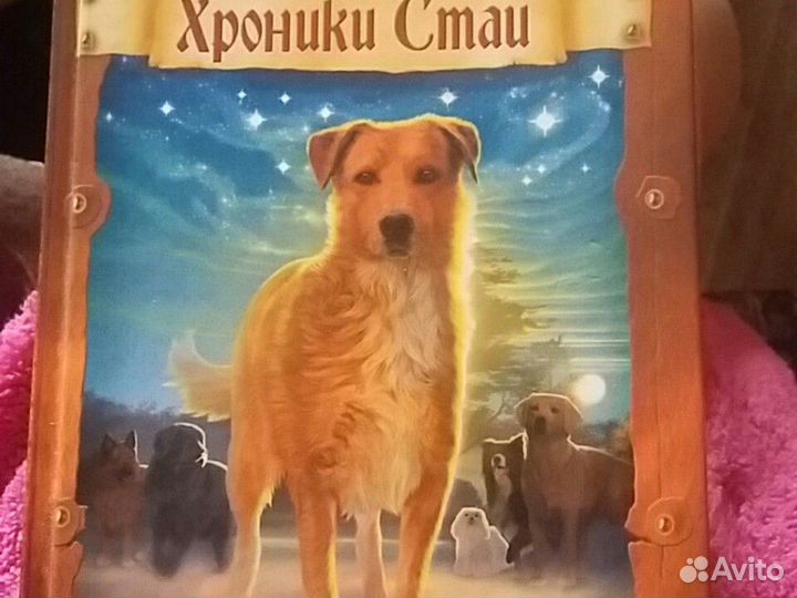 Книга